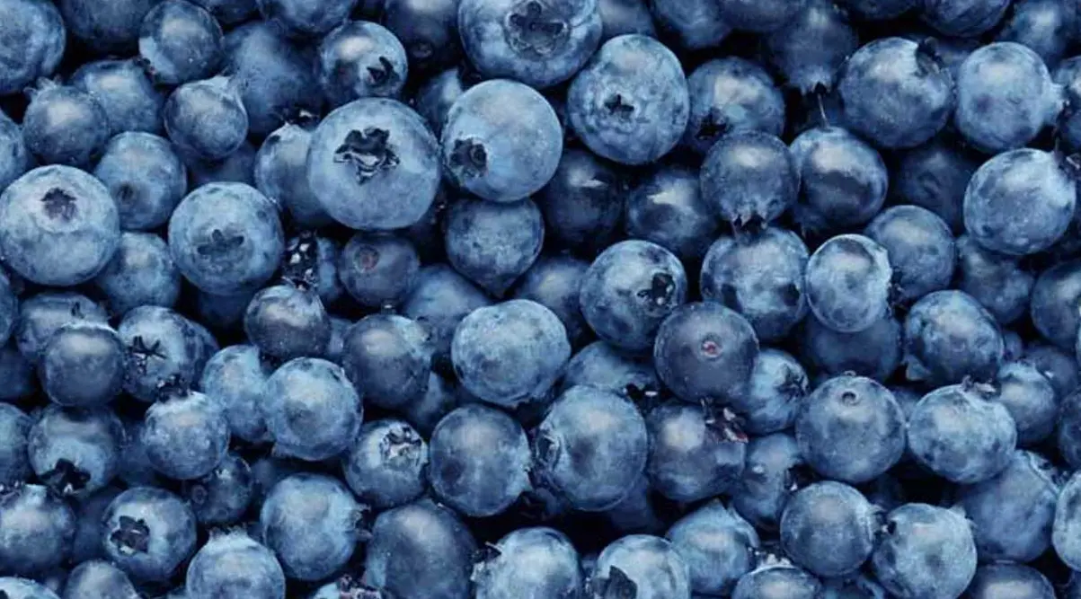 blueberries